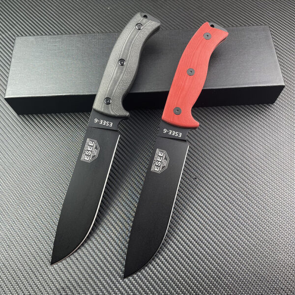 ESEE-6