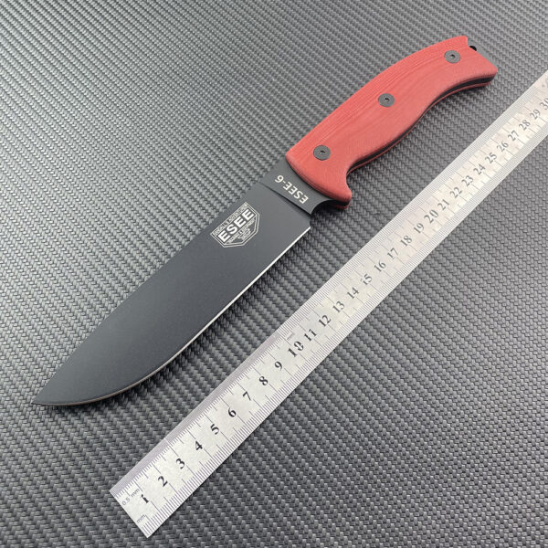 ESEE-6
